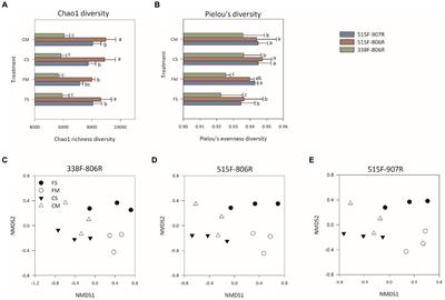 Comparative evaluation of 16S rRNA primer pairs in identifying nitrifying guilds in soils under long-term organic fertilization and water management